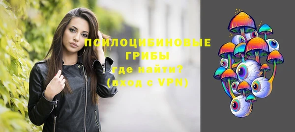 ГАЛЛЮЦИНОГЕННЫЕ ГРИБЫ Белокуриха