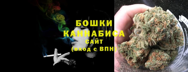 ГАЛЛЮЦИНОГЕННЫЕ ГРИБЫ Белокуриха
