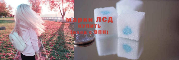 прущие крисы Беломорск
