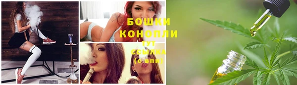 ГАЛЛЮЦИНОГЕННЫЕ ГРИБЫ Белокуриха