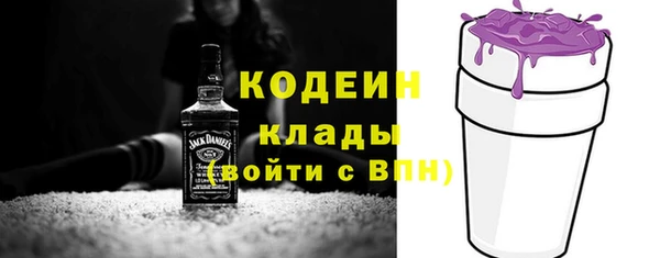 ГАЛЛЮЦИНОГЕННЫЕ ГРИБЫ Белокуриха
