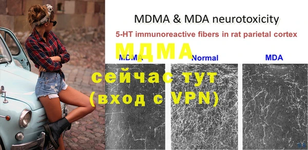 ГАЛЛЮЦИНОГЕННЫЕ ГРИБЫ Белокуриха