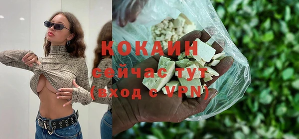 ГАЛЛЮЦИНОГЕННЫЕ ГРИБЫ Белокуриха